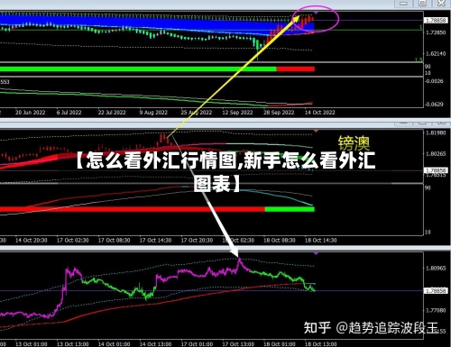 【怎么看外汇行情图,新手怎么看外汇图表】-第2张图片