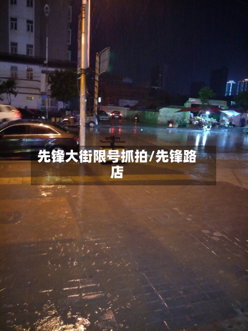 先锋大街限号抓拍/先锋路店-第3张图片