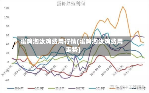 蛋鸡淘汰鸡费用行情(蛋鸡淘汰鸡费用走势)-第1张图片