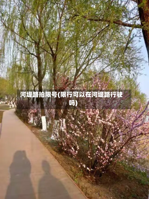 河堤路拍限号(限行可以在河堤路行驶吗)-第3张图片