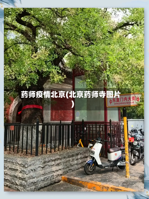 药师疫情北京(北京药师寺图片)-第3张图片