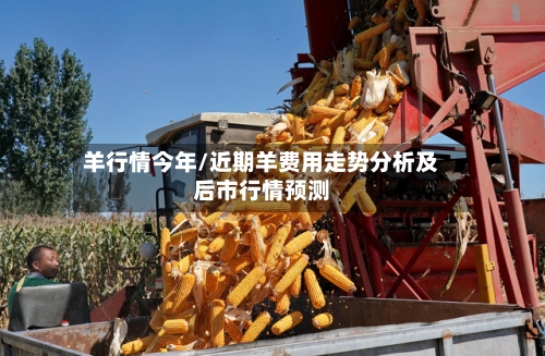 羊行情今年/近期羊费用走势分析及后市行情预测-第1张图片