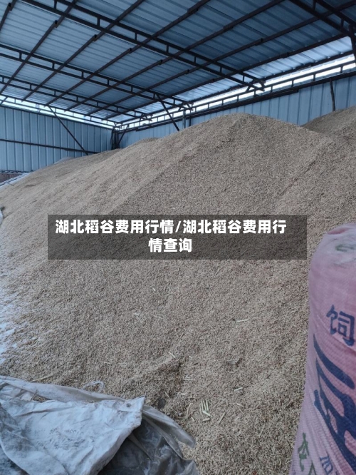 湖北稻谷费用行情/湖北稻谷费用行情查询-第2张图片