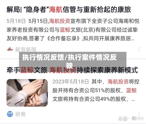 执行情况反馈/执行案件情况反映-第2张图片