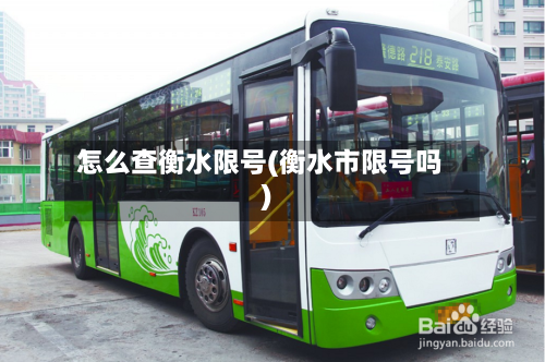 怎么查衡水限号(衡水市限号吗)-第2张图片
