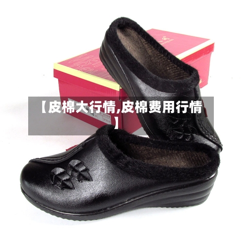 【皮棉大行情,皮棉费用行情】-第3张图片