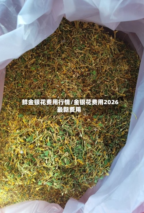 鲜金银花费用行情/金银花费用2026最新费用-第2张图片