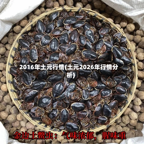 2016年土元行情(土元2026年行情分析)-第1张图片