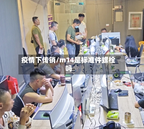 疫情下传销/m14是标准件螺栓吗-第2张图片