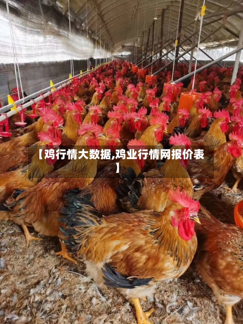 【鸡行情大数据,鸡业行情网报价表】-第1张图片