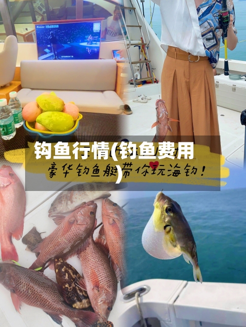 钩鱼行情(钓鱼费用)-第1张图片