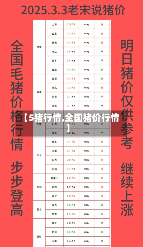 【5猪行情,全国猪价行情】-第1张图片
