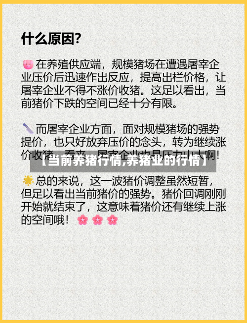 【当前养猪行情,养猪业的行情】-第1张图片