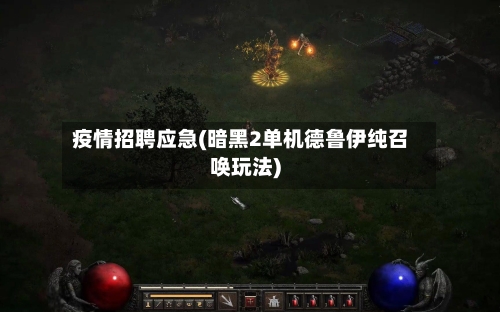 疫情招聘应急(暗黑2单机德鲁伊纯召唤玩法)-第1张图片