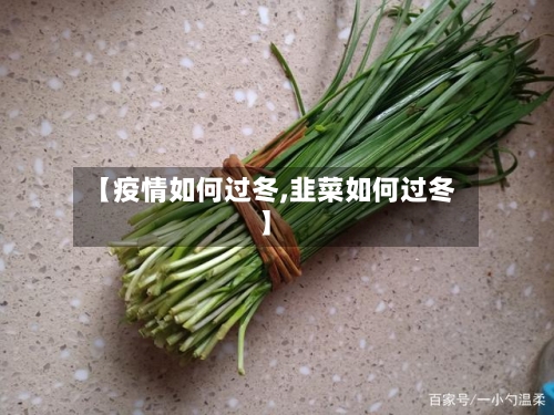 【疫情如何过冬,韭菜如何过冬】-第1张图片