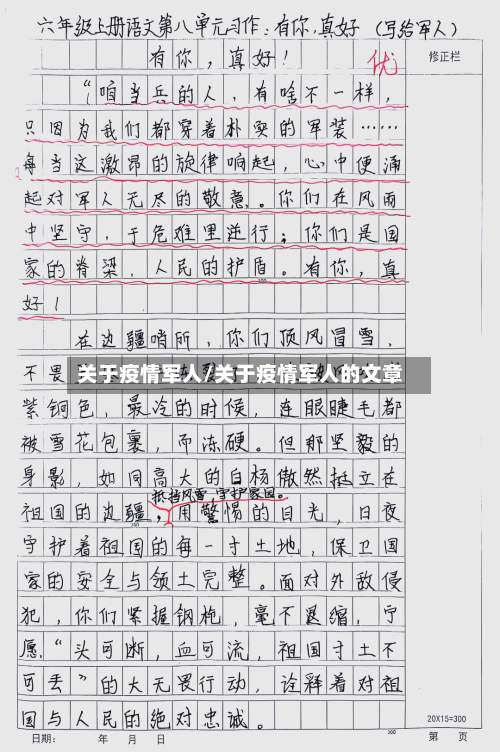 关于疫情军人/关于疫情军人的文章-第3张图片