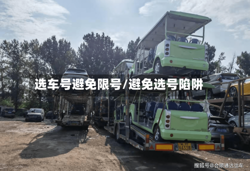 选车号避免限号/避免选号陷阱-第3张图片