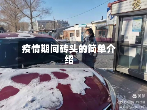 疫情期间砖头的简单介绍-第1张图片